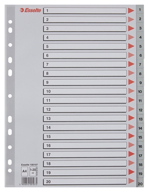 Esselte Register PP A4 1-20 grijs