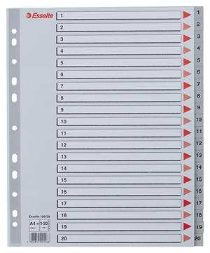 Esselte Register PP A4 maxi 1-20 grijs
