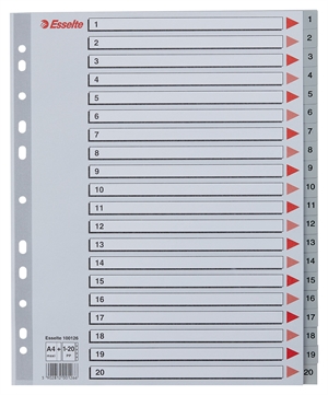 Esselte Register PP A4 maxi 1-20 grijs