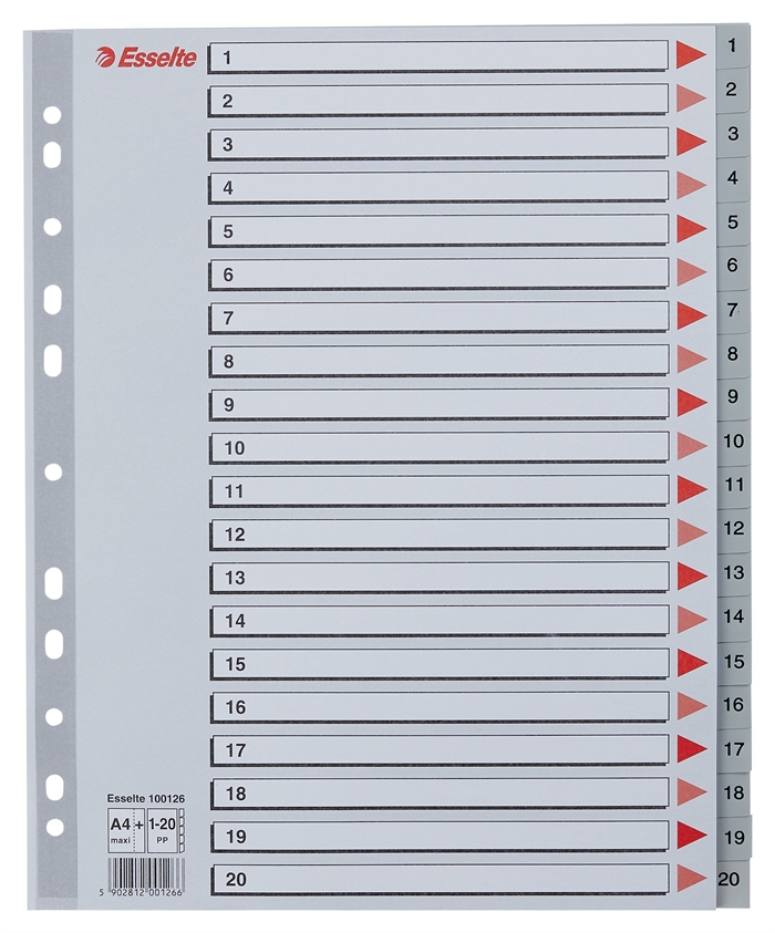 Esselte Register PP A4 maxi 1-20 grijs