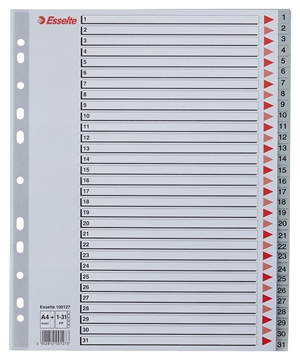 Esselte Register PP A4 maxi 1-31 grijs