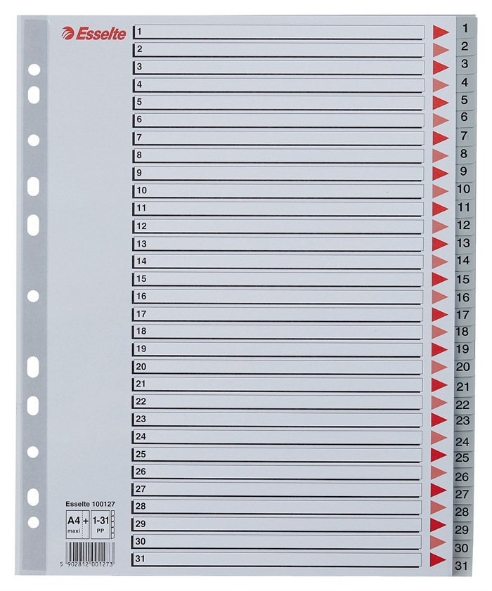 Esselte Register PP A4 maxi 1-31 grijs
