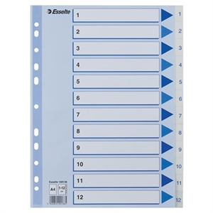 Esselte Register PP A4 1-12 wit