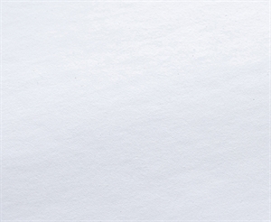 Rauch Vinyl Mat PRO 220 Outdoor Vinylfilm, zelfklevend - 130 g/m², 42" x 30 meter